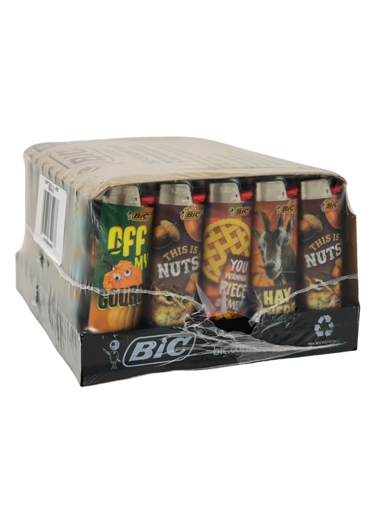 Autumn Bic