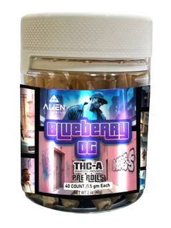 Alien THC-A Pre-Roll Jars (40 x 1.5g) Blueberry OG (Ind)