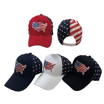 United States Flag Map Ball Cap